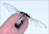 /album/robots/mosca-jpg/